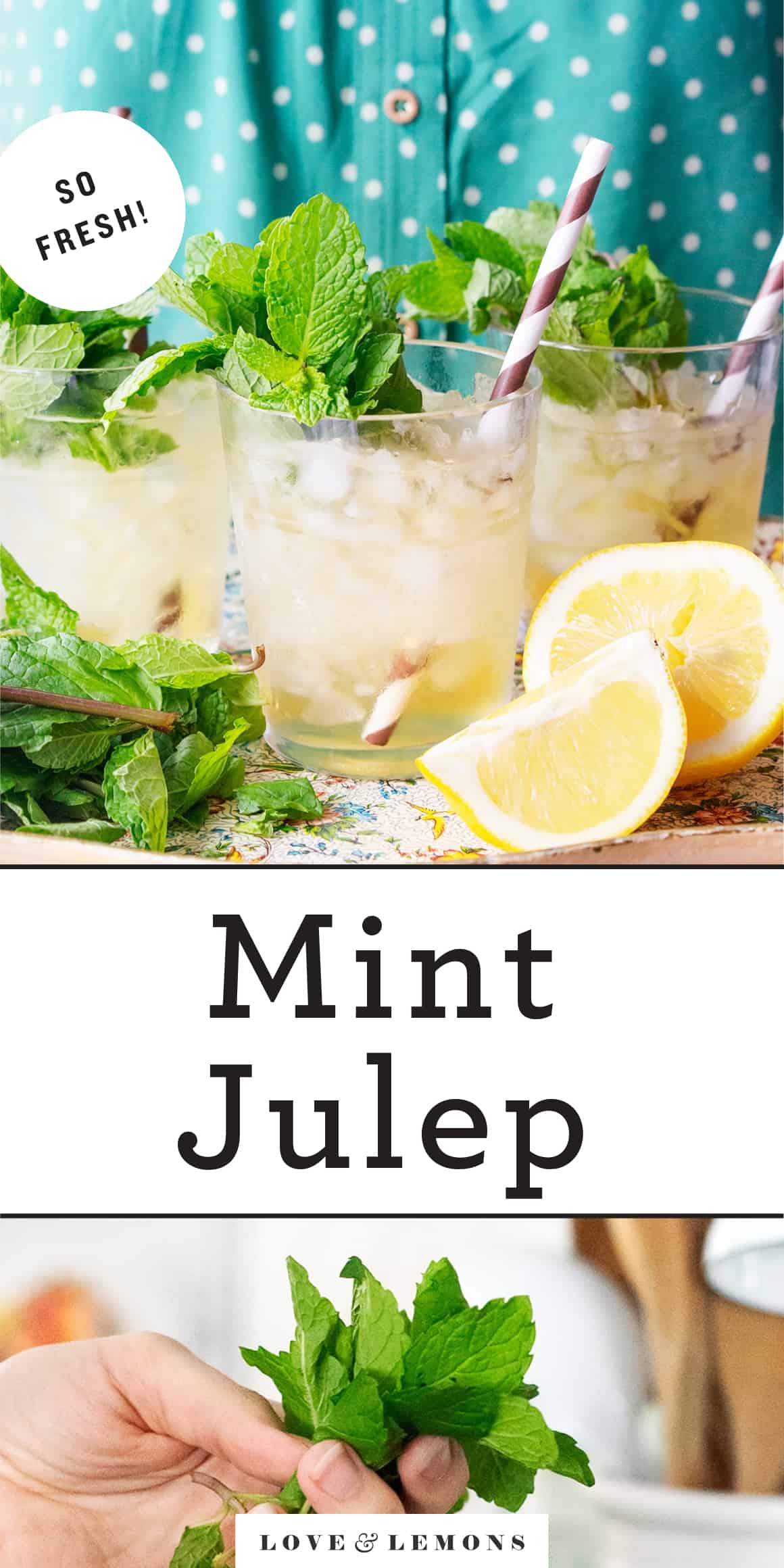 PDF Reader Refreshing Mint Julep