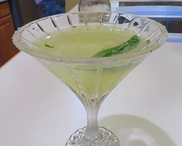 Citrus-Basil Shaken Gin Refresher