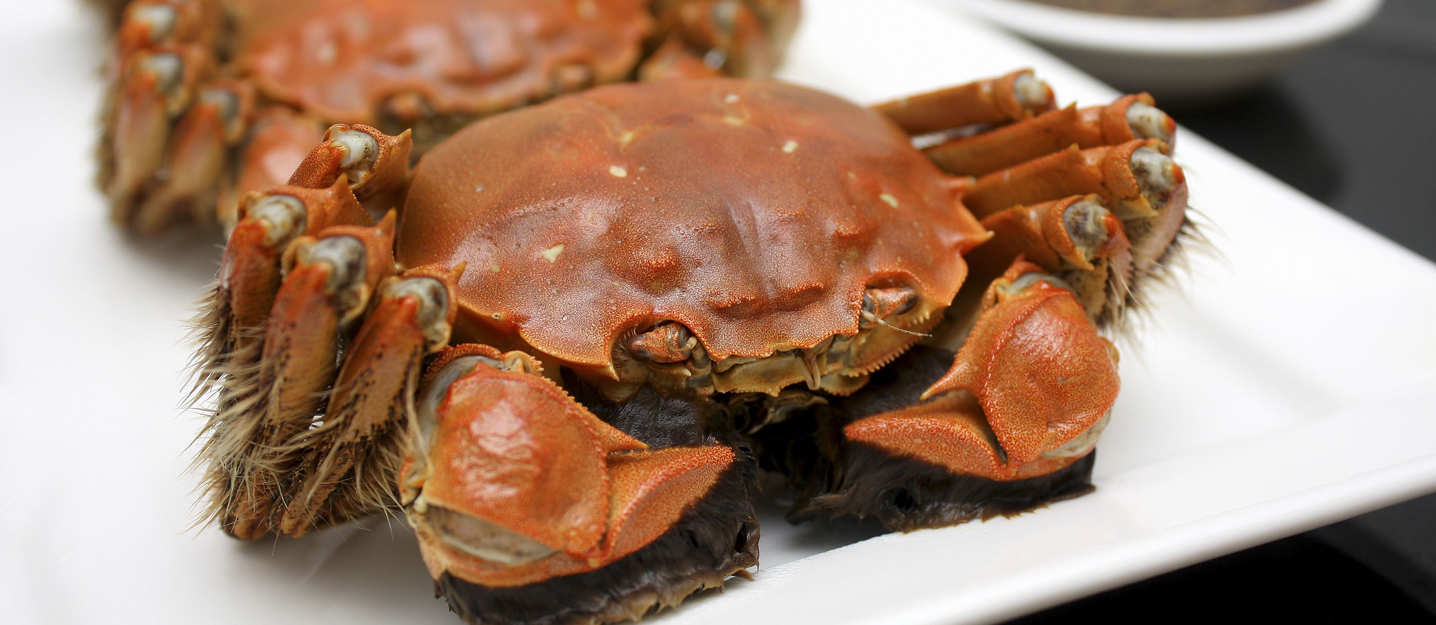 Shanghai-Style Steamed Hairy Crab with Ginger Soy Dipping Sauce