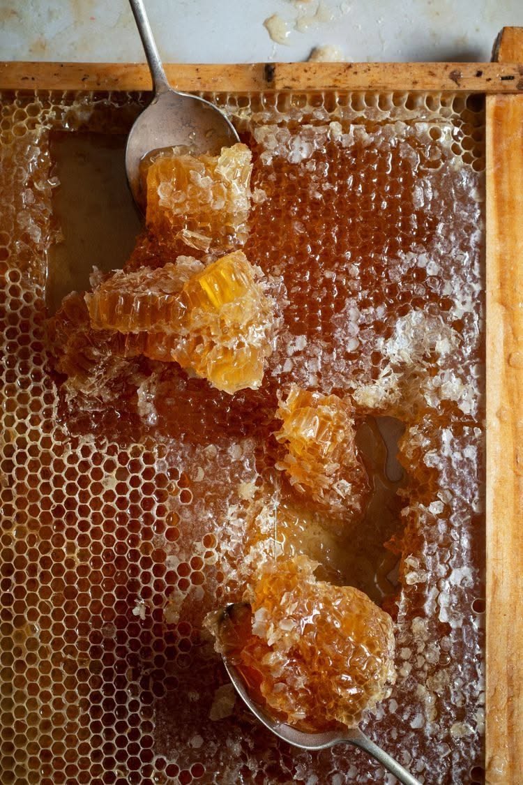 Kosovo Honey and Herb Old Fashioned