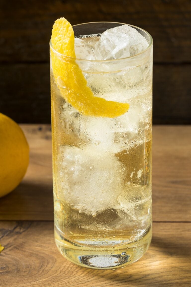 Citrus-Infused Japanese Whiskey Highball