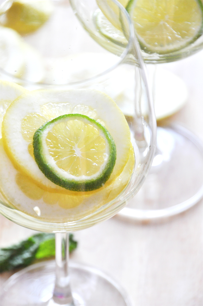 Herbed Citrus-Infused White Wine Sangria