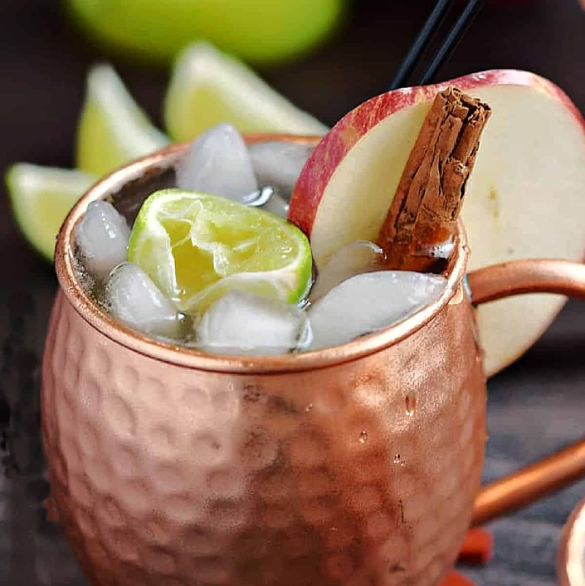 Wickedly Spiced Apple Cider Mule