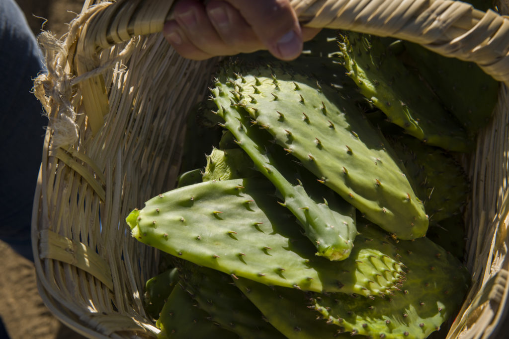 Mezcal-Infused Cactus Paddle Salad with Quesillo and Toasted Pepitas