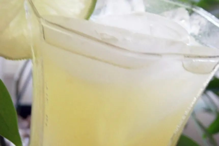 Citrus-Mint Sparkle Cooler