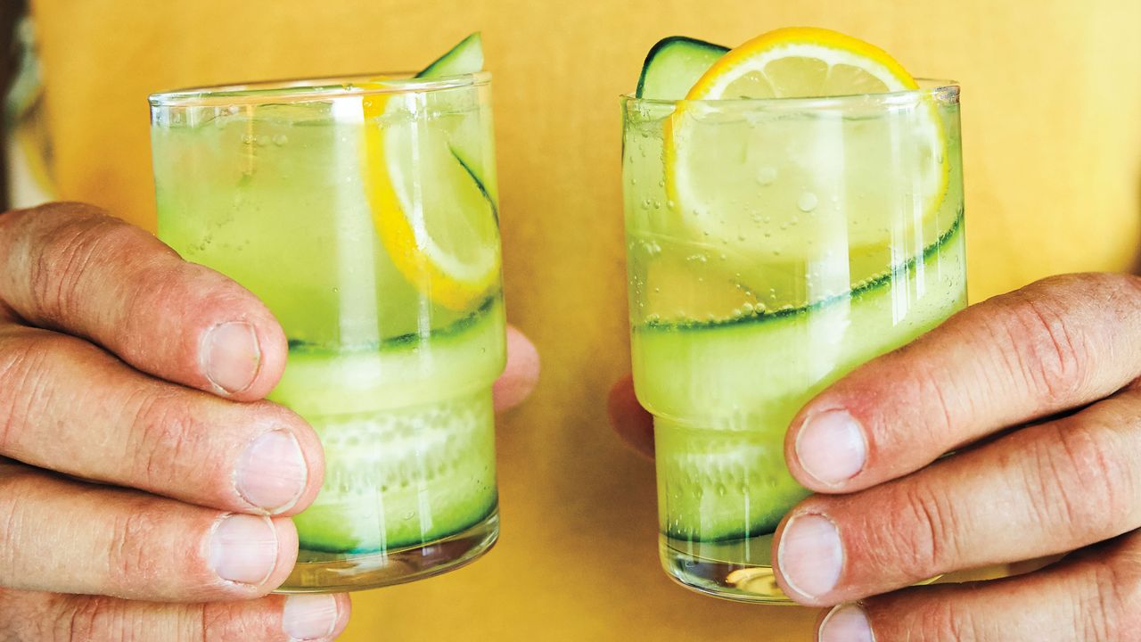 Gin and Cucumber Muddled Collins