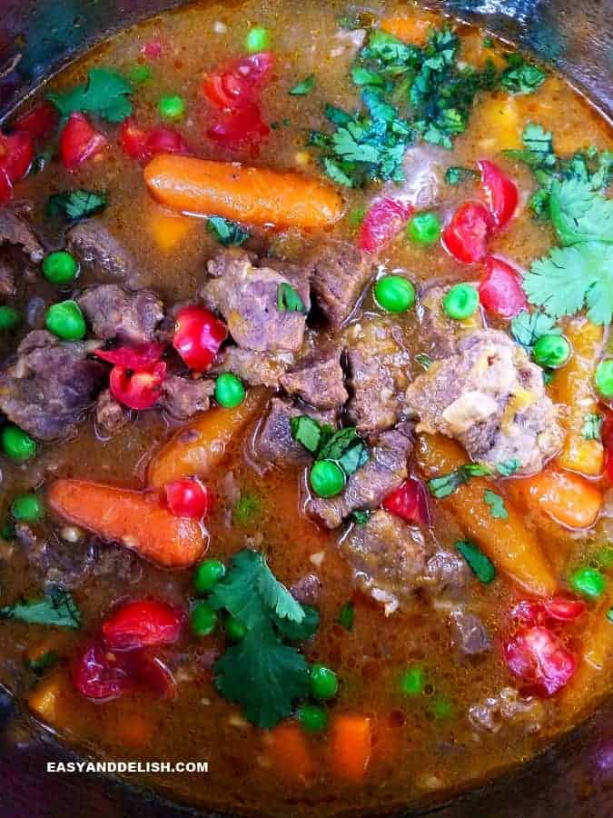 Slow-Cooked Beef Picadinho with Tomato and Peppers