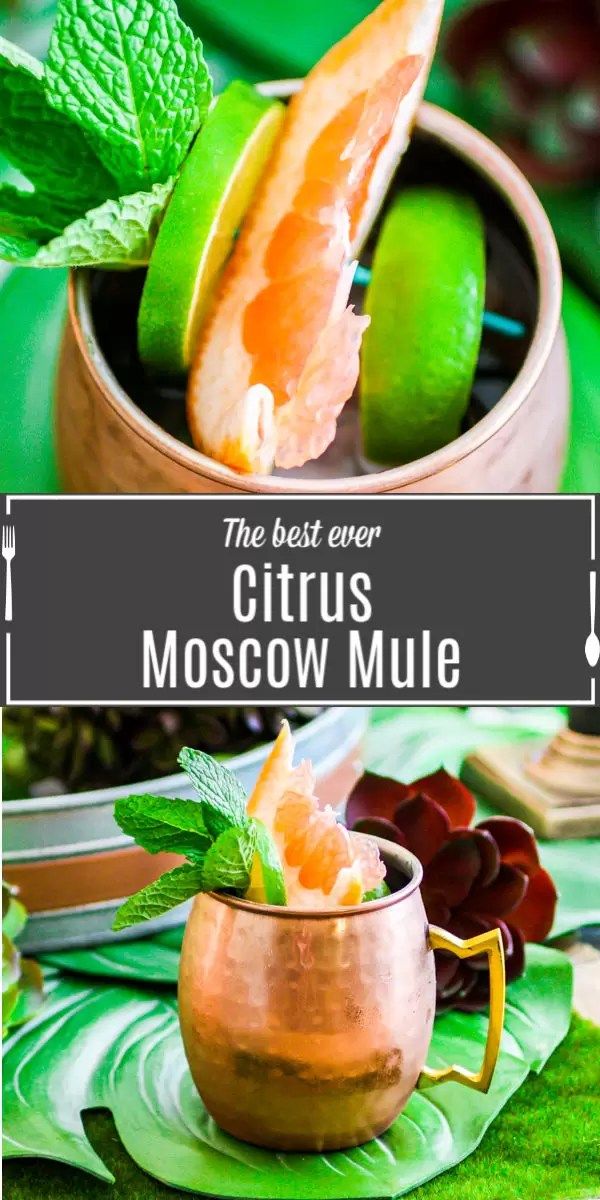 ZipRecruiter Citrus Mule