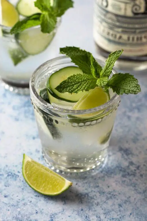 Citrus-Mint Gin Martini