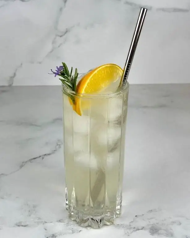 Vodka Elderflower Muddled Fizz