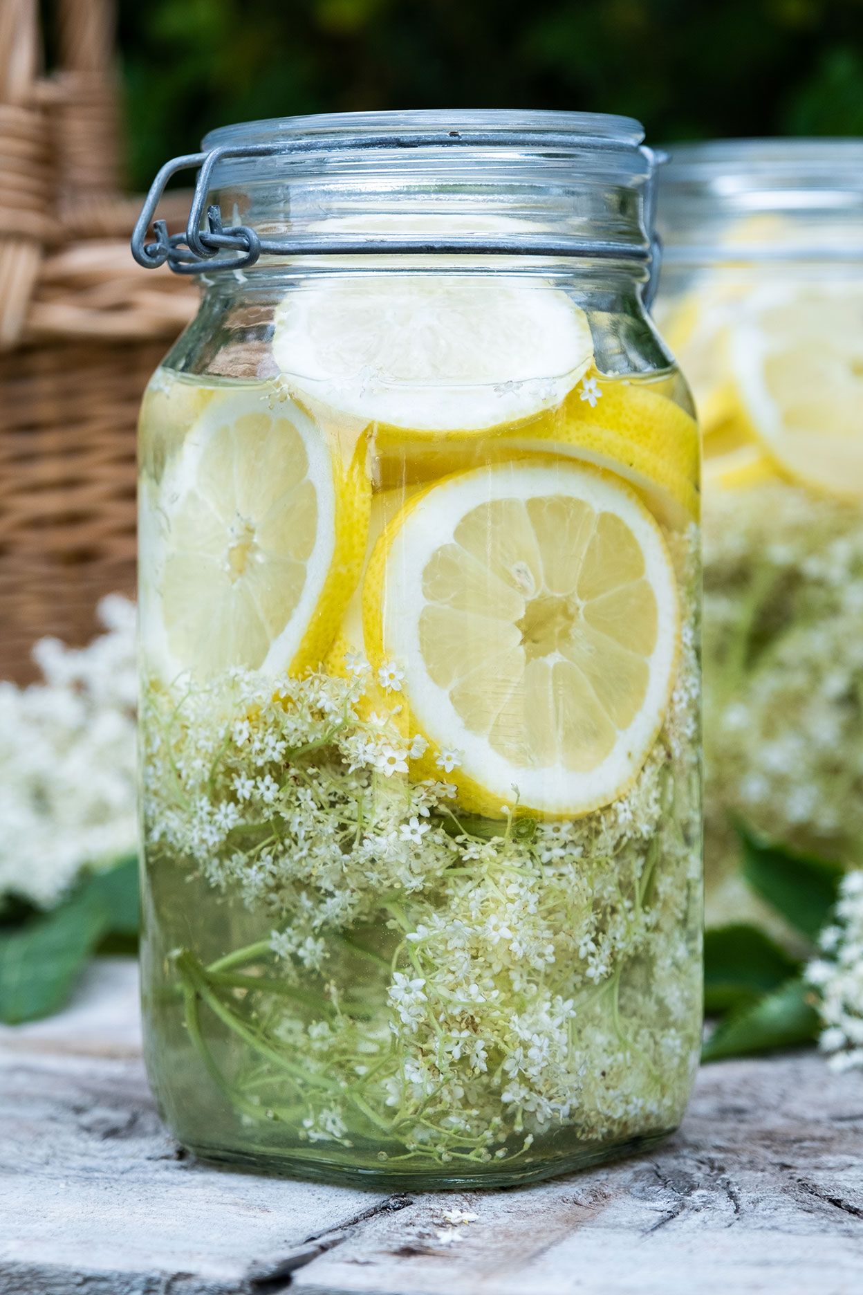 Immune Tolerance Elderflower Collins