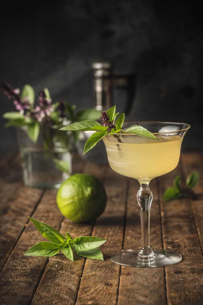 Herb-Infused Gin Gimlet with Basil