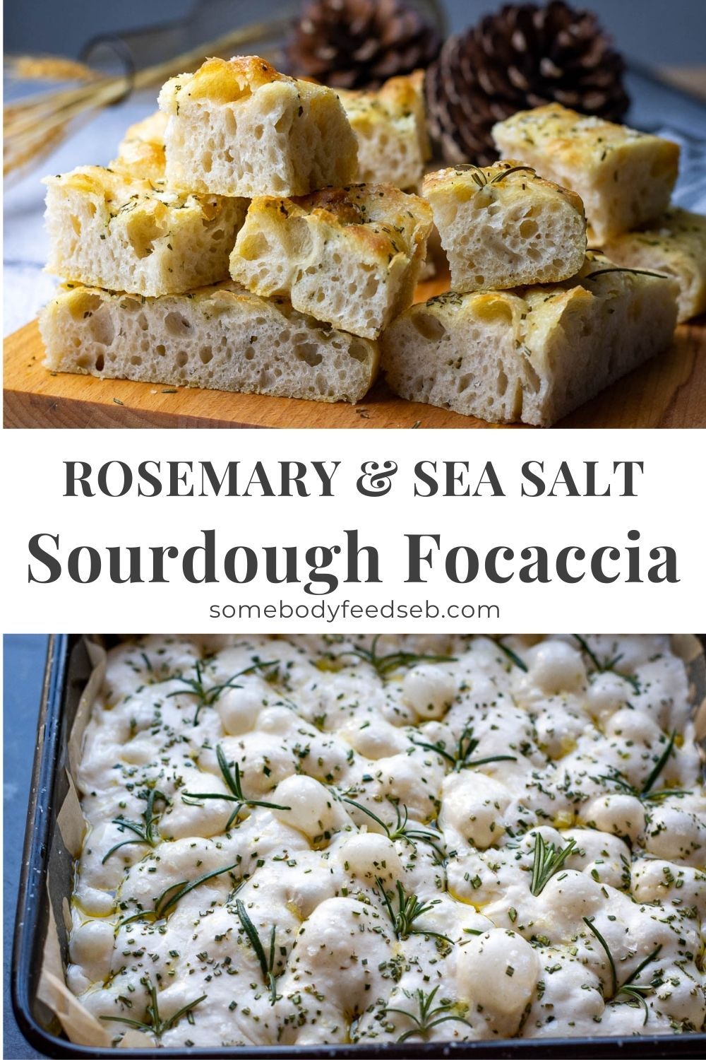 No-Knead Sourdough Focaccia with Rosemary and Sea Salt