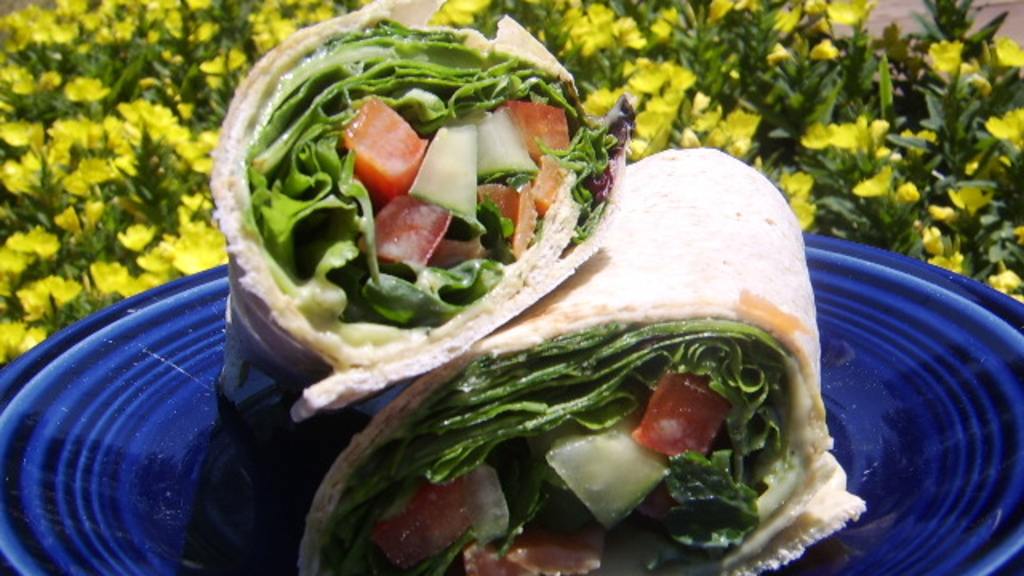 Fun.com Rainbow Veggie Wraps