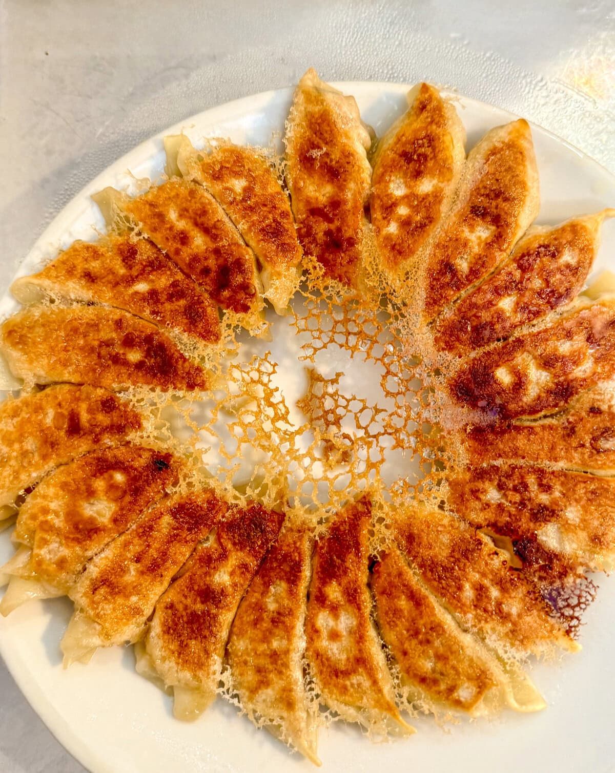 Pan-Fried Gyoza with Pork and Ginger Filling