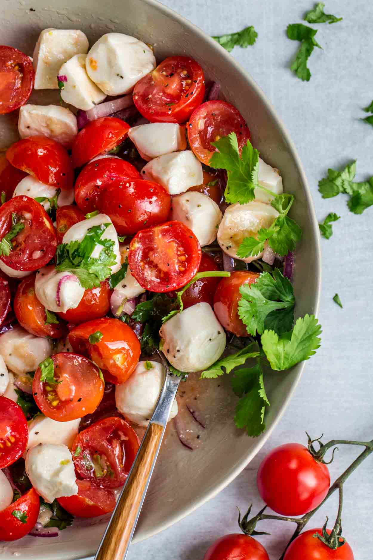 Tomato and Mozzarella Salad