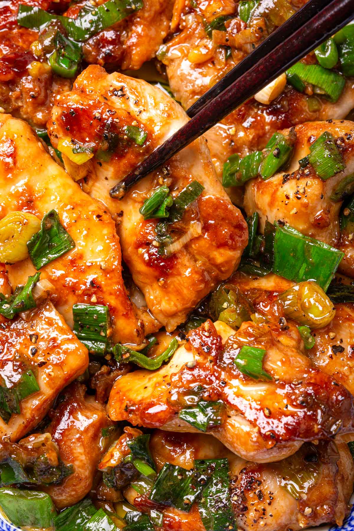 Braised Honey Garlic Chicken with Aubergine and Scallions