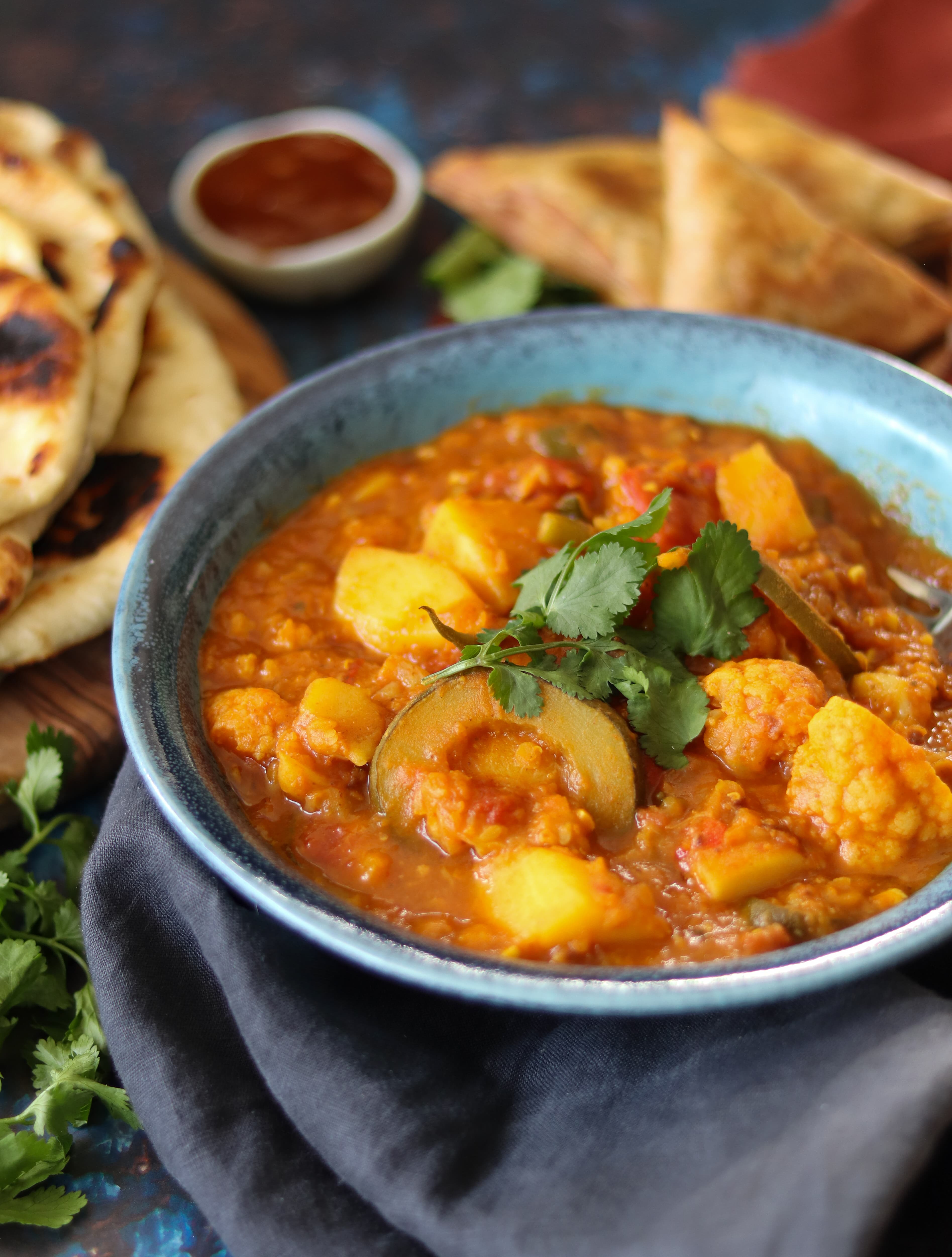Vegetable and Lentil Berbere Curry with Fenugreek and Cardamom