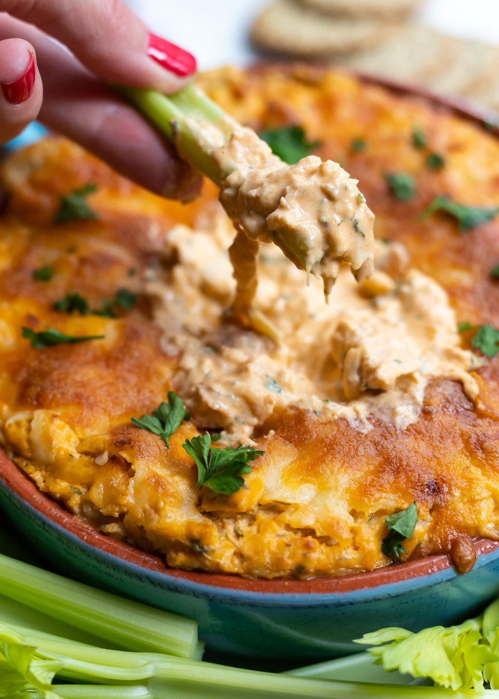 Buffalo Chicken Avocado Dip