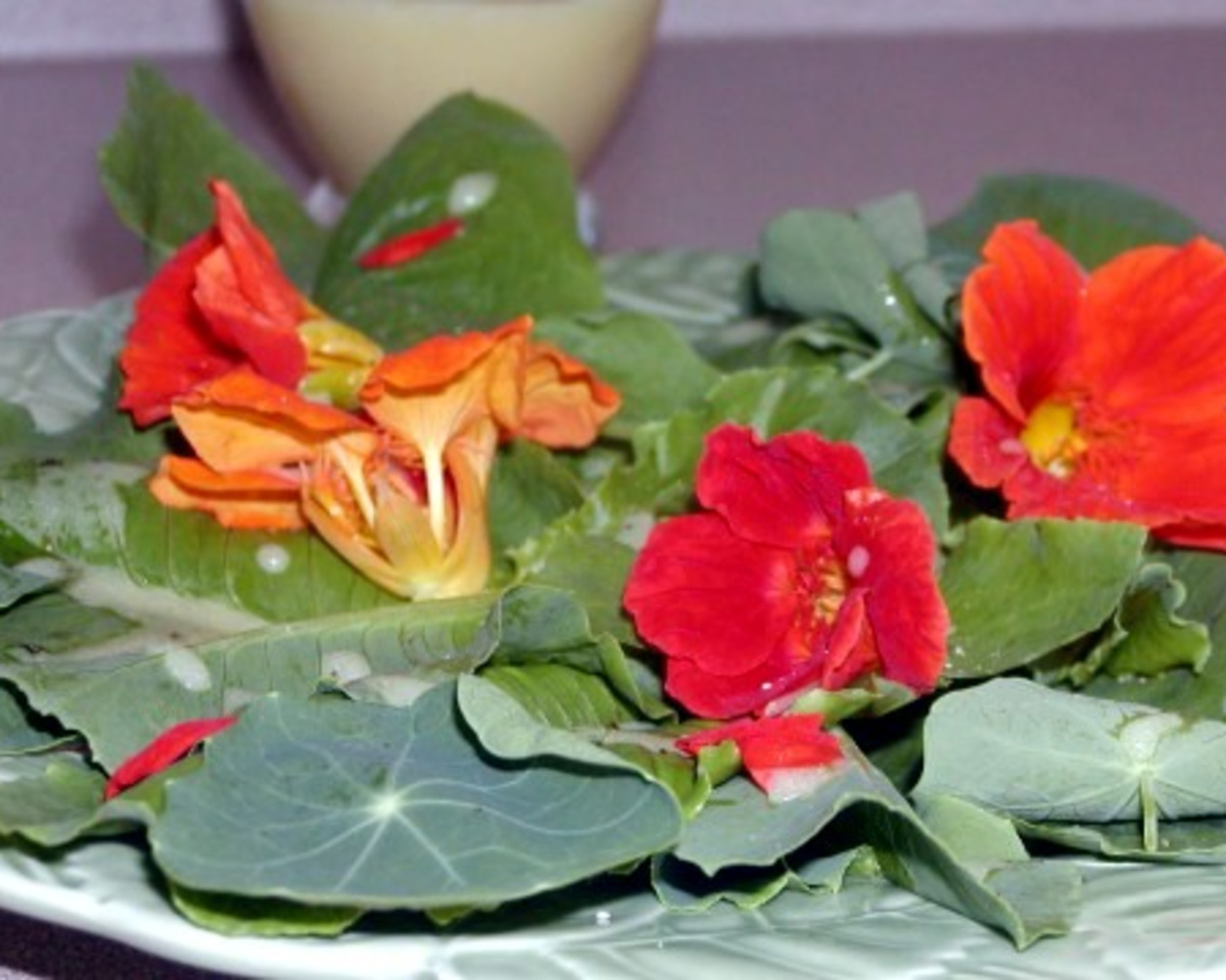 Golden Bloom Salad with Wildflowers
