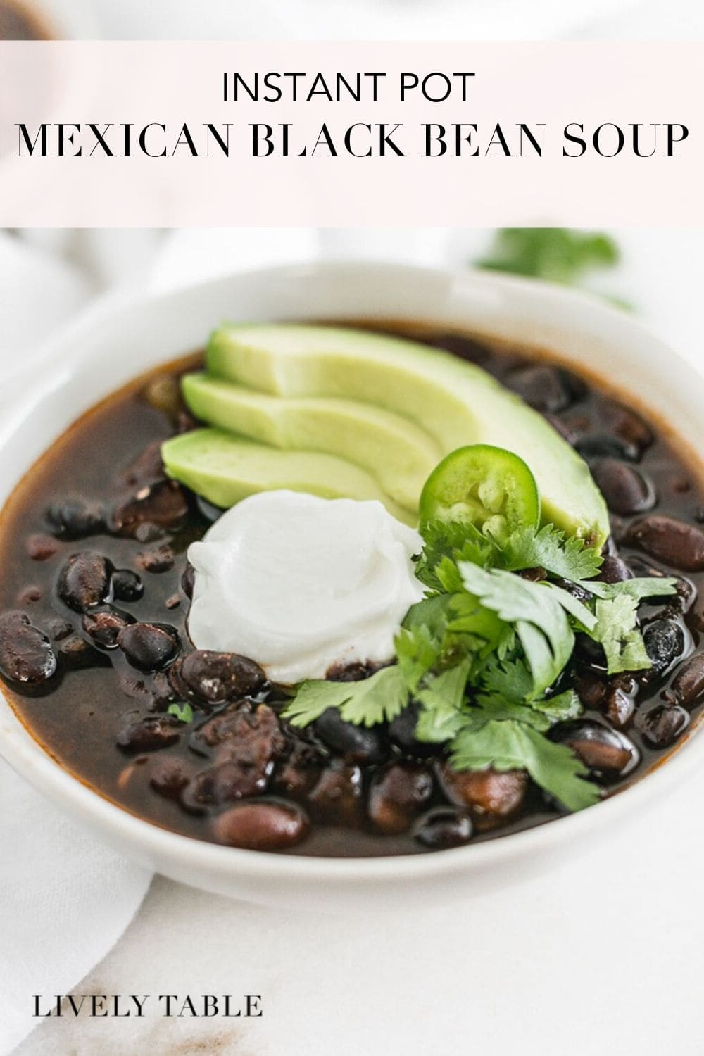 Instant Pot Spiced Mexican Black Bean Soup