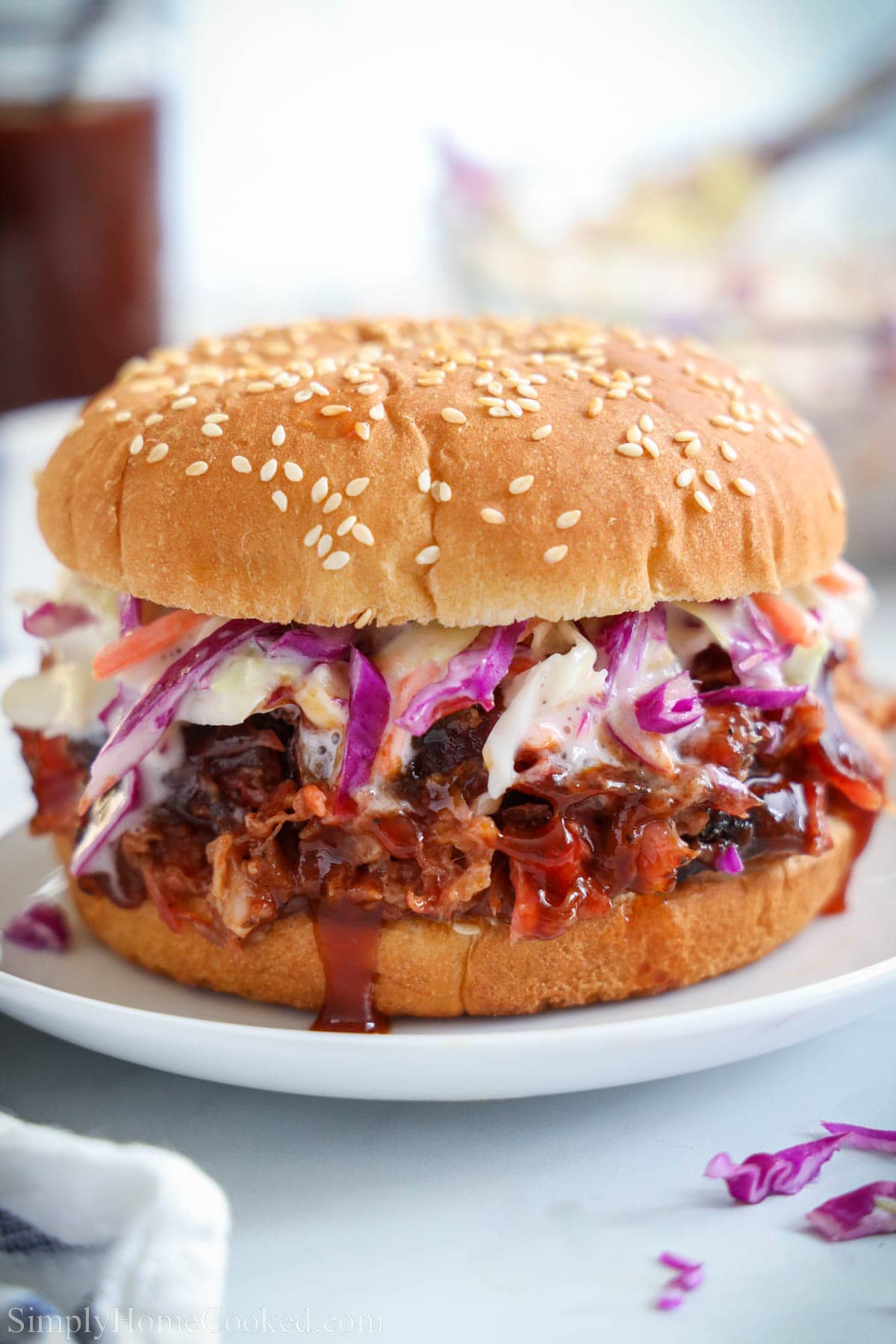 Smoked North Georgia Pulled Pork with Tangy Vinegar Slaw