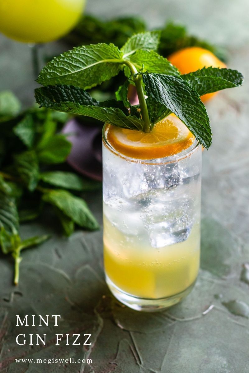 Citrus-Mint Gin Fizz with Fresh Lemon and Soda