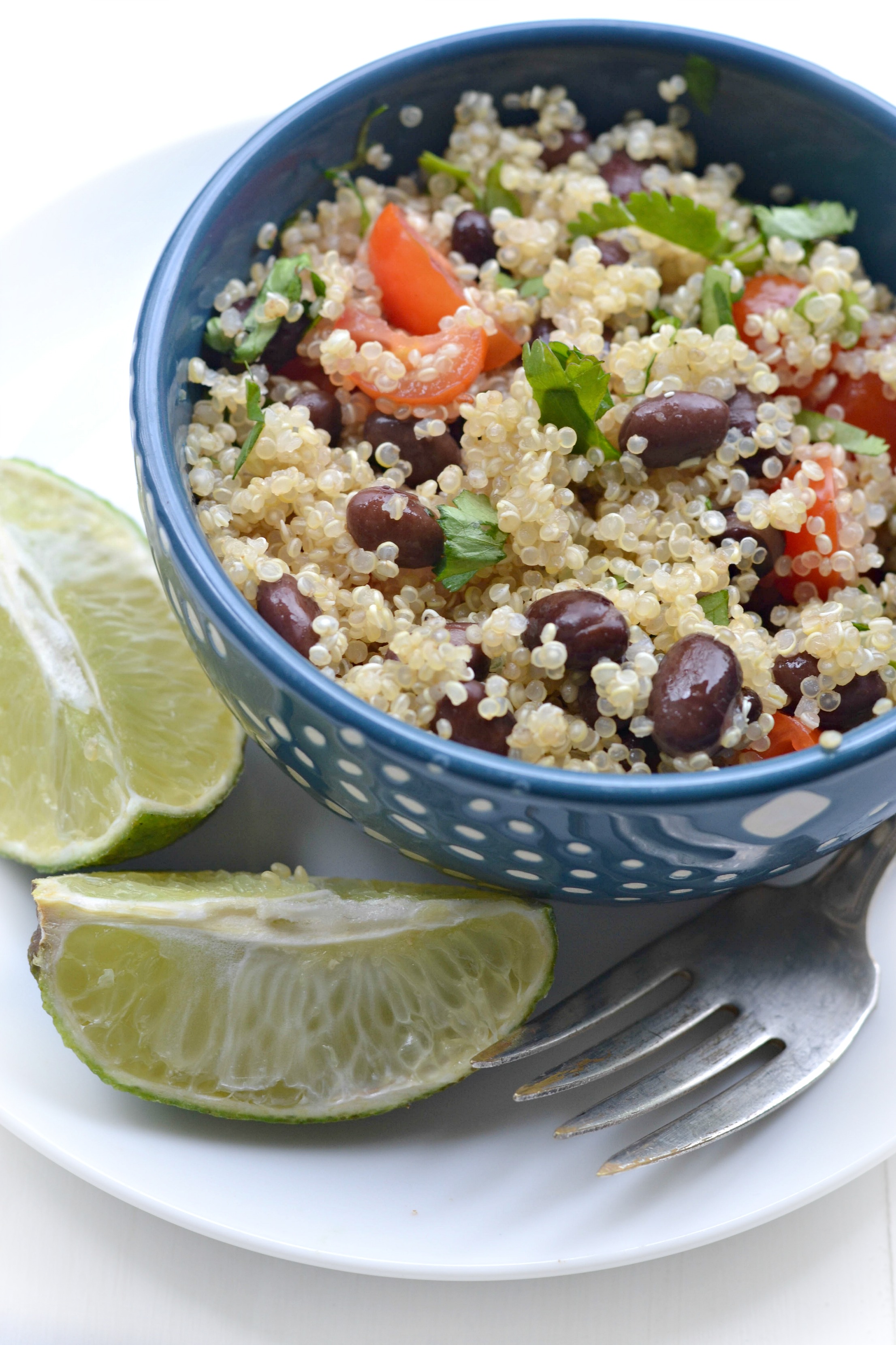 One-Pot Quinoa and Black Bean Salad with Cilantro Lime Dressing