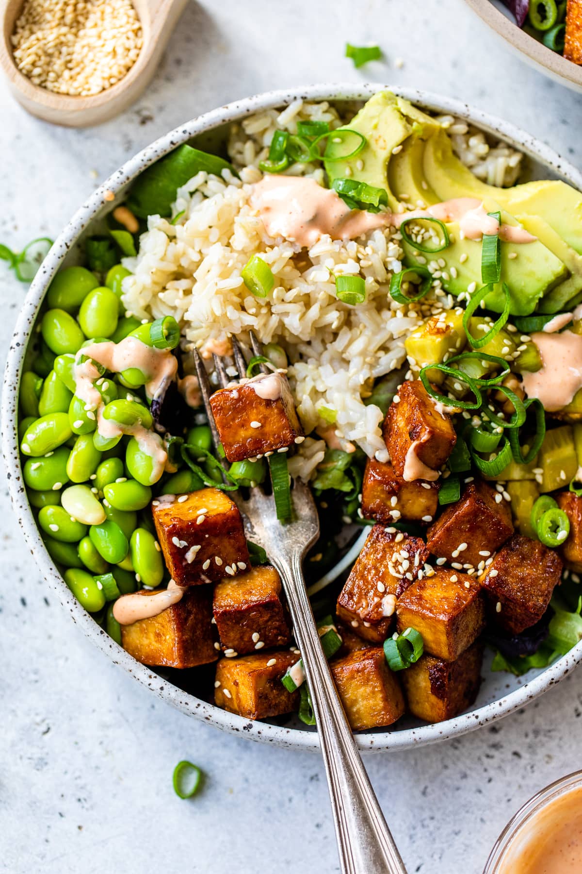 Regional Asian Fusion Rice Bowl with Spiced Tofu and Pickled Vegetables