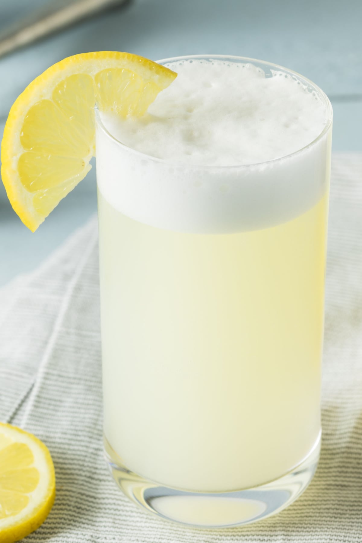 Citrus-Pressed Gin Fizz with Fresh Lemon