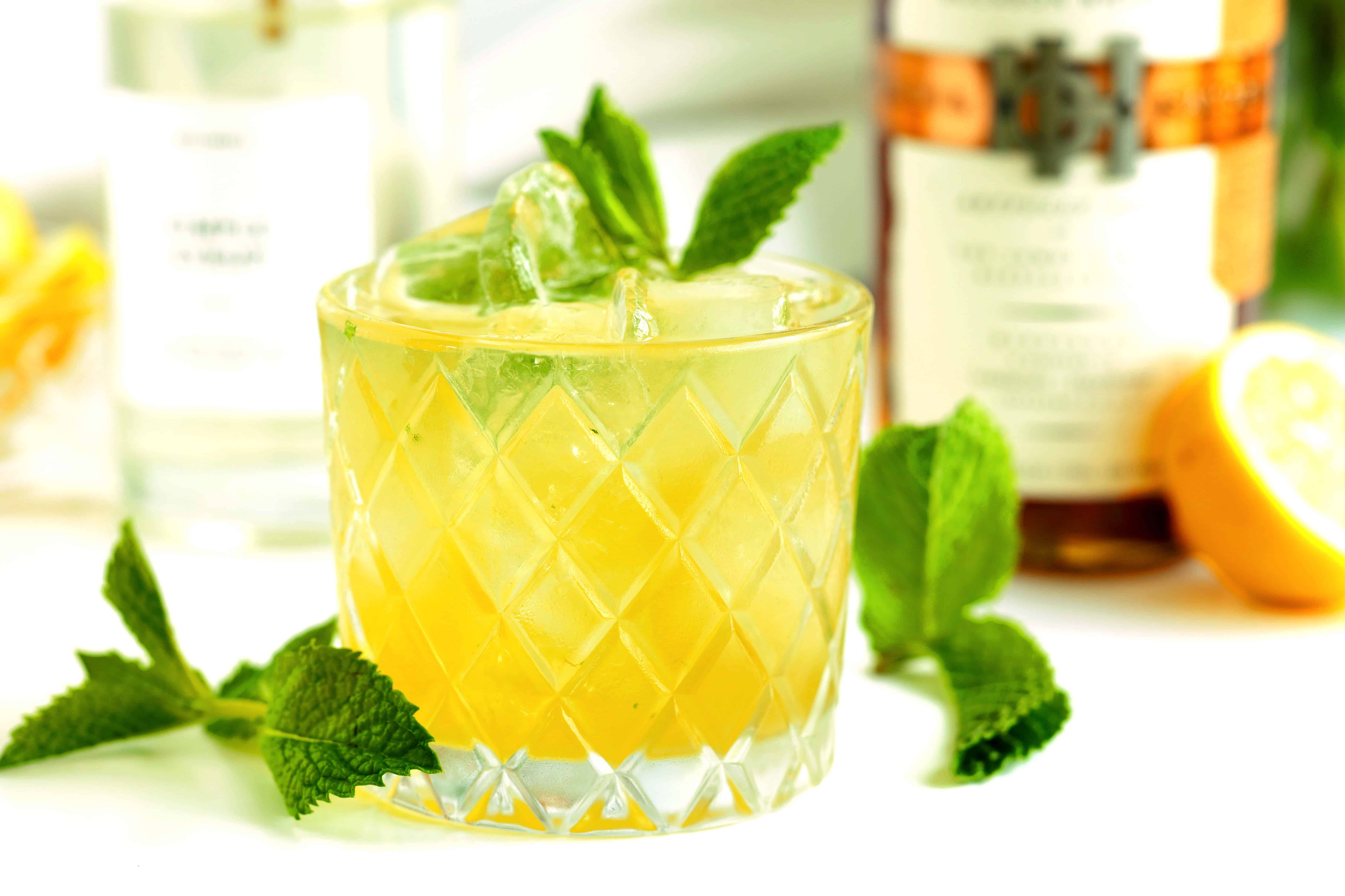 Citrus-Infused Bourbon Smash Cocktail