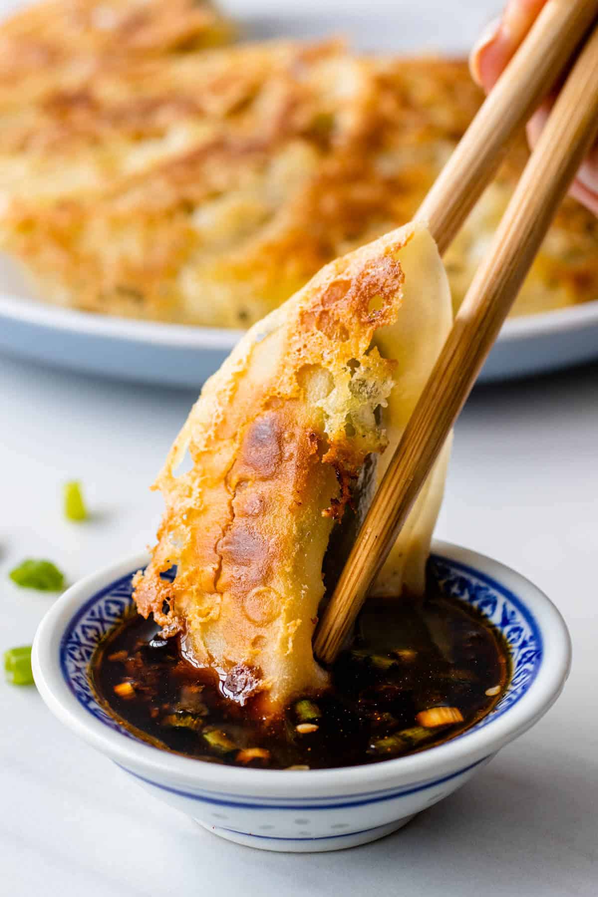 Half-Steamed Half-Fried Gyoza with Sesame Soy Dipping Sauce