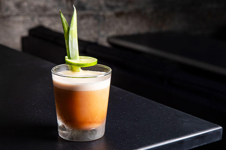 Stout-Spiked Jungle Bird Punch