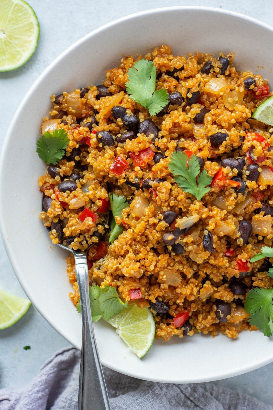 One-Pot Spicy Mexican Black Bean and Quinoa Stew