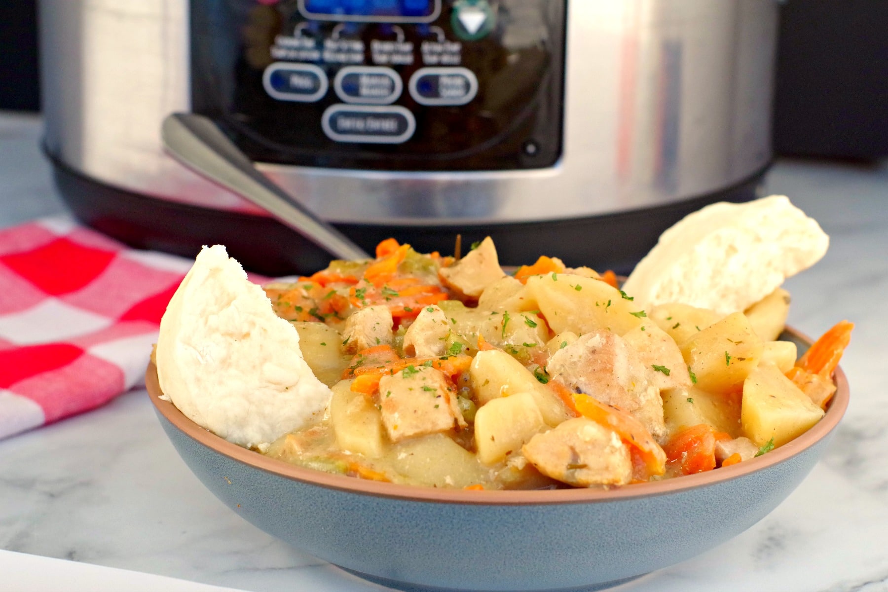 Bone-In Chicken and Vegetable Slow Cooker Stew