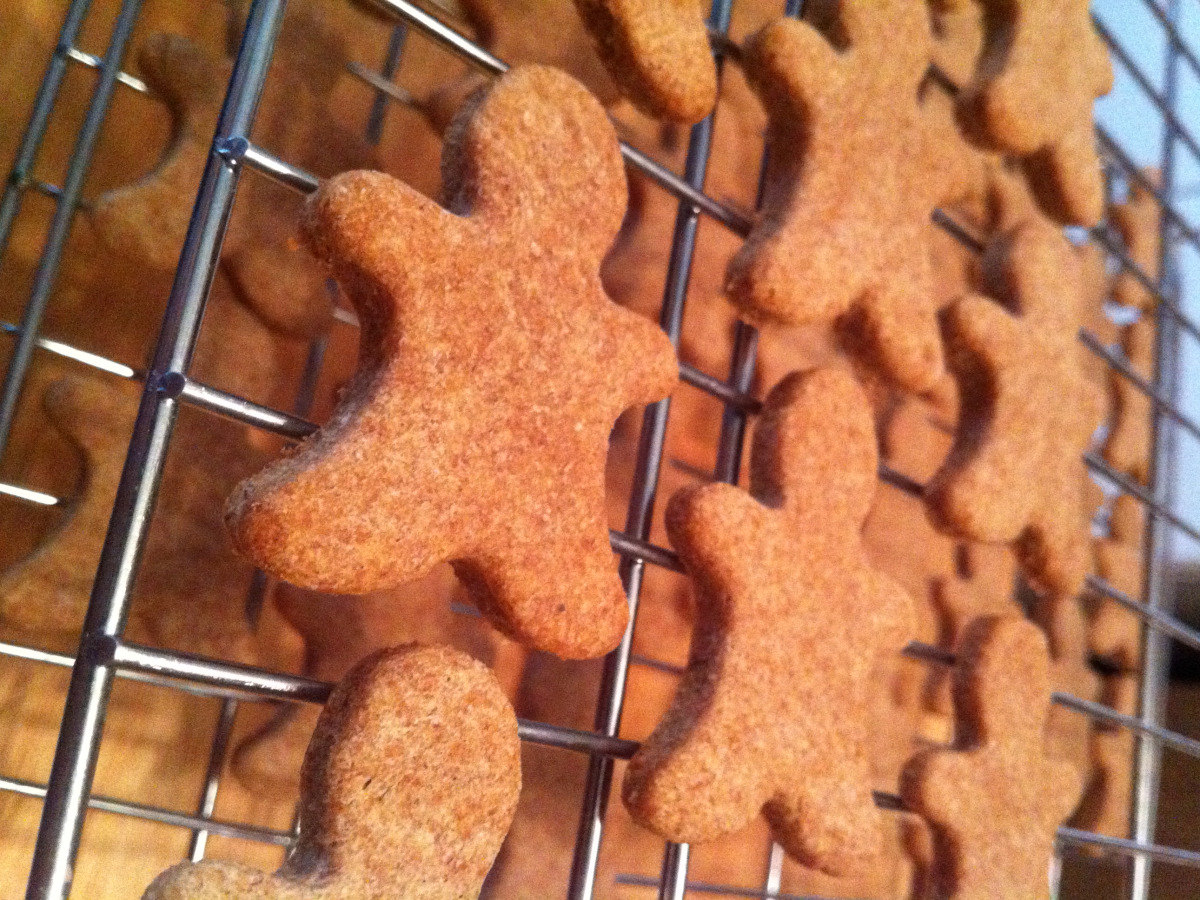 Ring Doorbell Biscuits