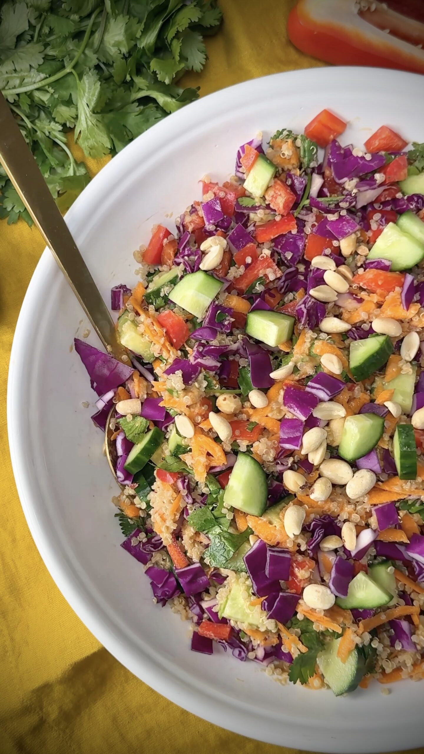 Quinoa and Anti-Inflammatory Veggie Salad