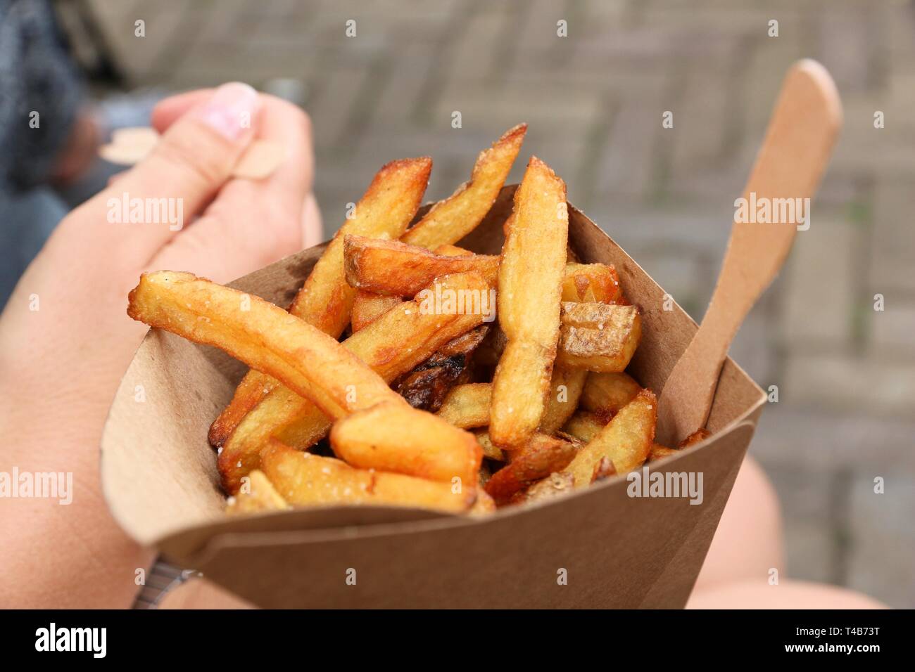 Belgian-Style Street Fries with Aioli