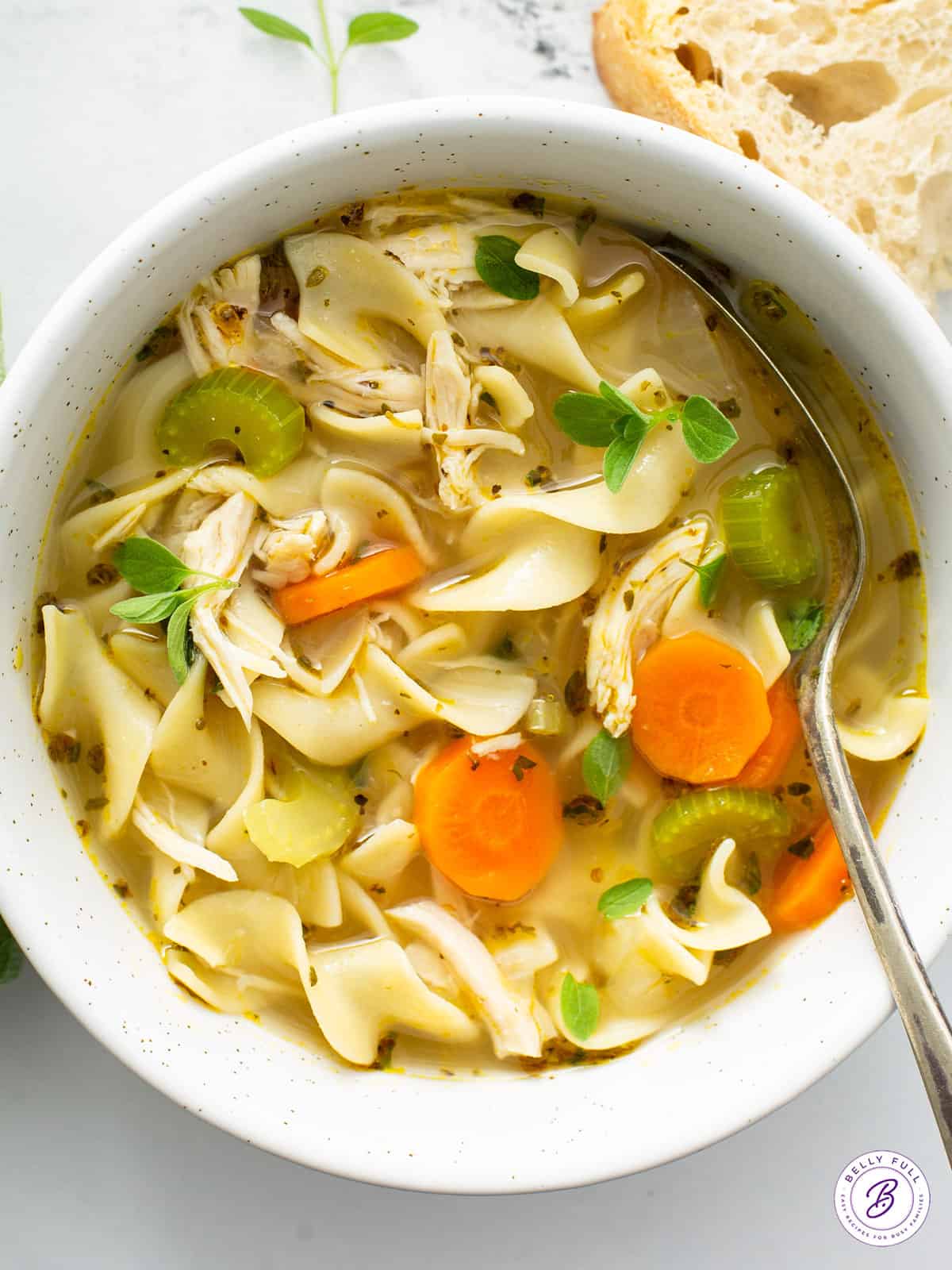 Neat's Web Noodle Soup