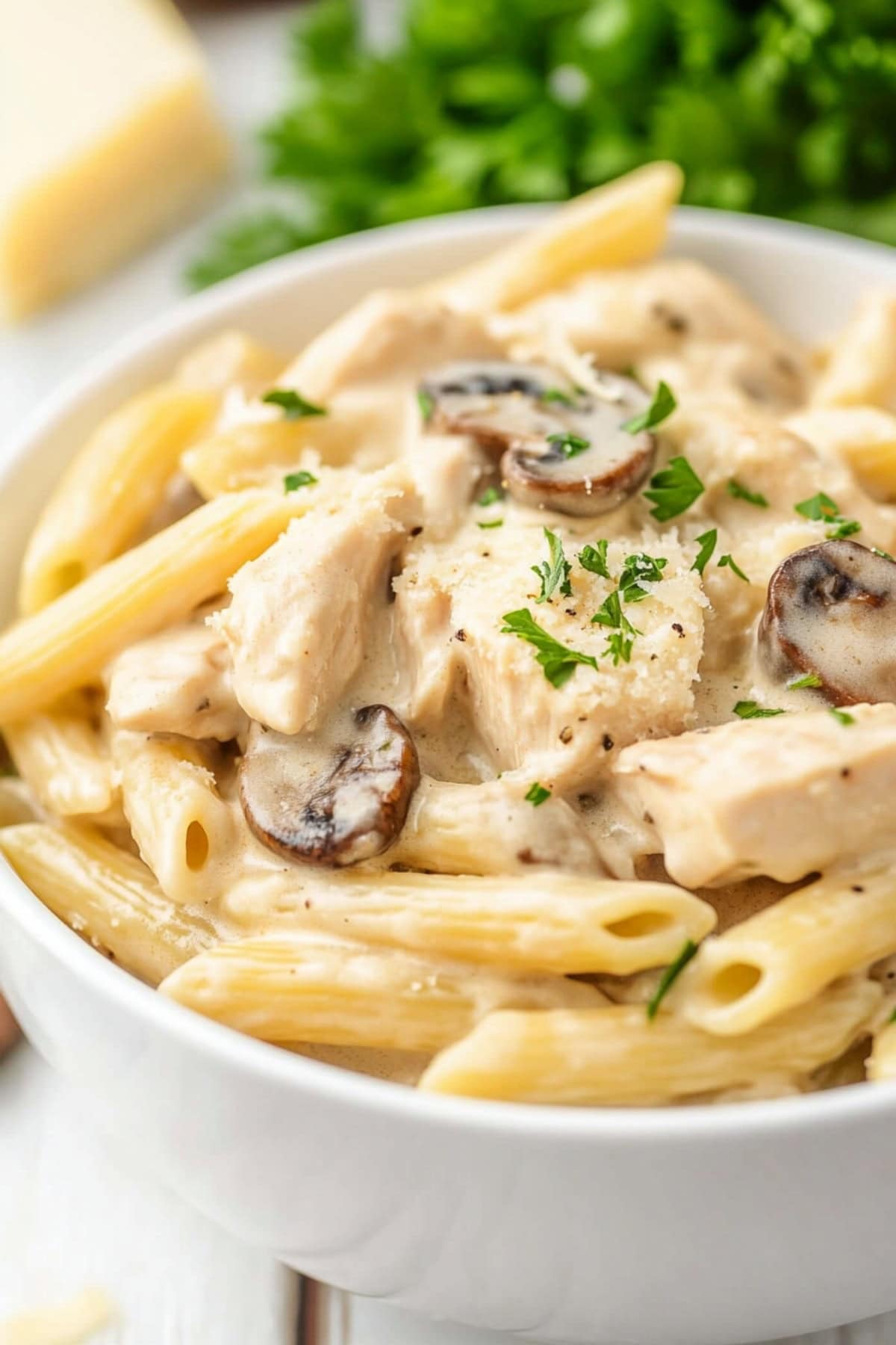 Creamy Chicken and Mushroom Pasta