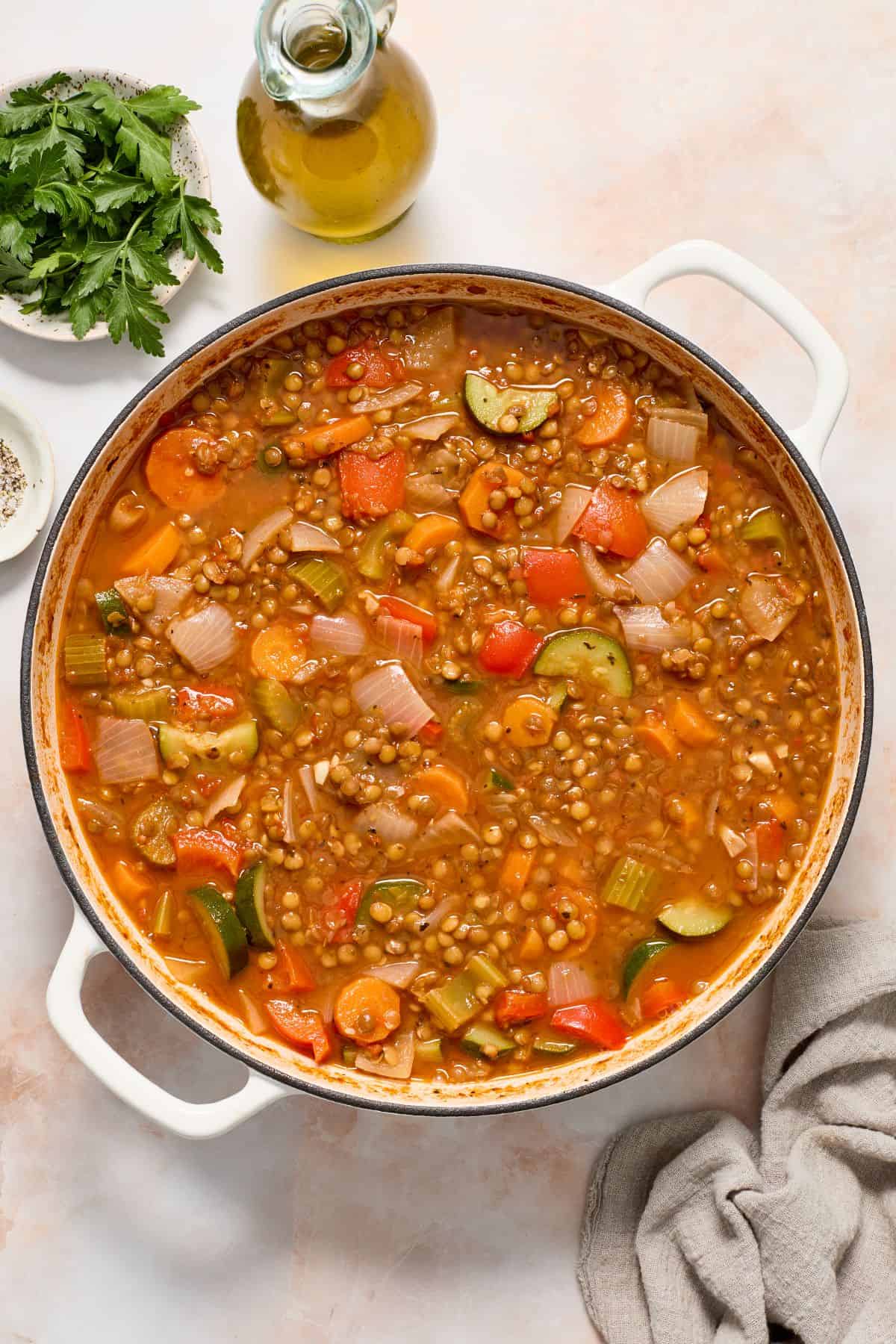 One-Pot Budget-Friendly Lentil and Vegetable Stew