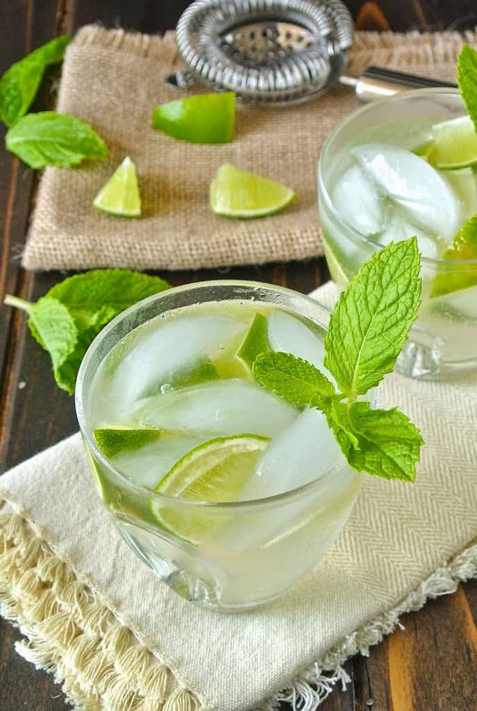Ginger-Lime Spiced Gin Fizz
