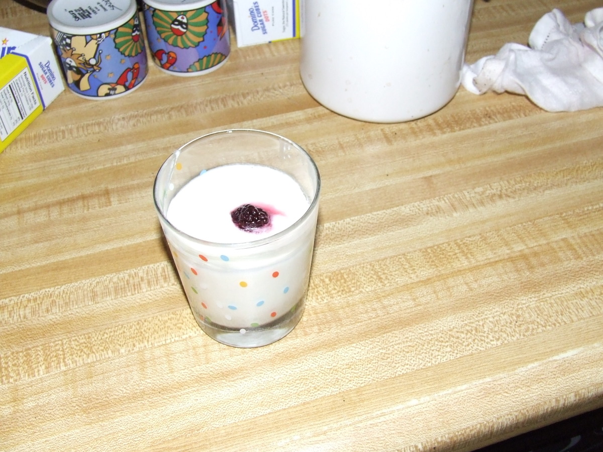 Light Yogurt Mousse