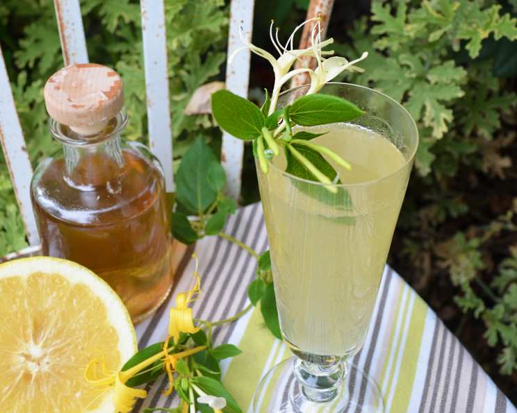 Spiced Rum Honeysuckle Cooler with Fresh Lime