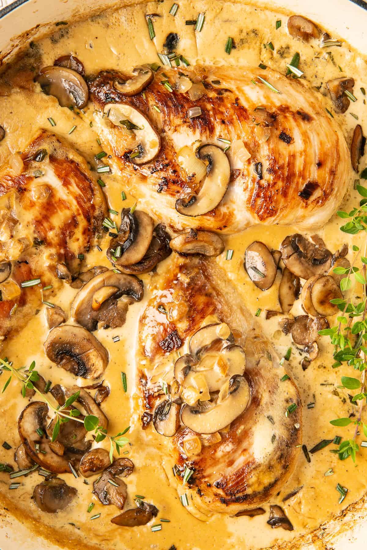 Pan-Fried Chicken with Salt Pork and Mushroom Sauce