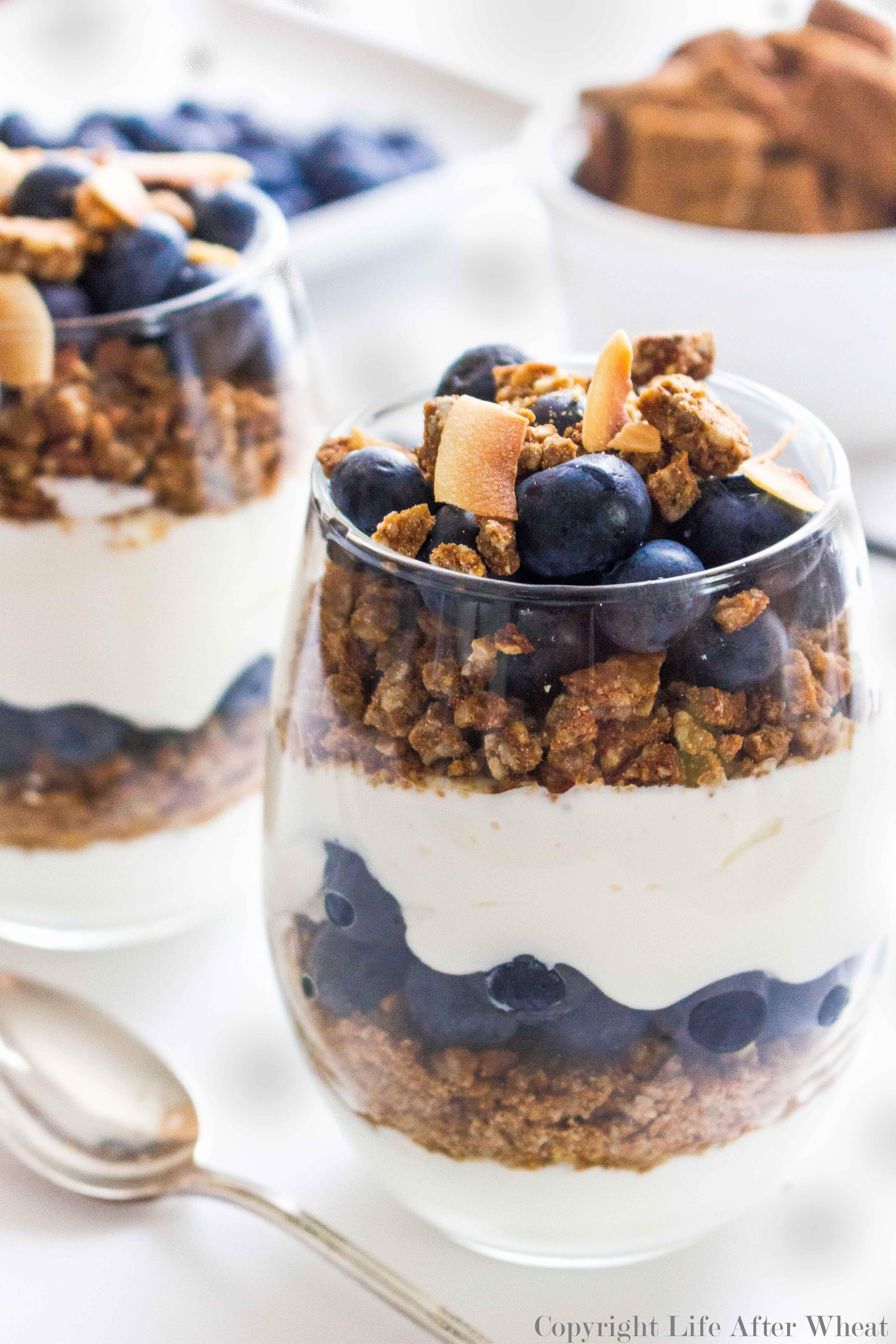 Blueberry and Vanilla Greek Yogurt Parfait with Honey Granola