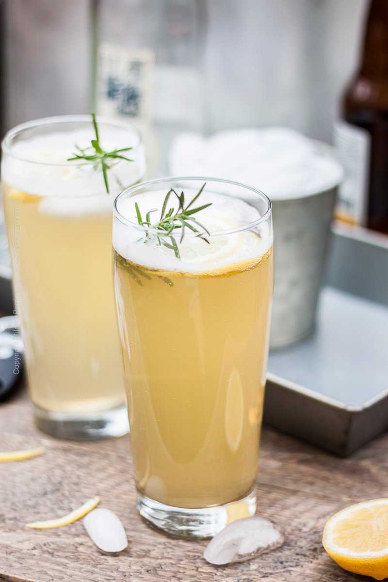 Citrus Radler Spritz with Lemon Lager