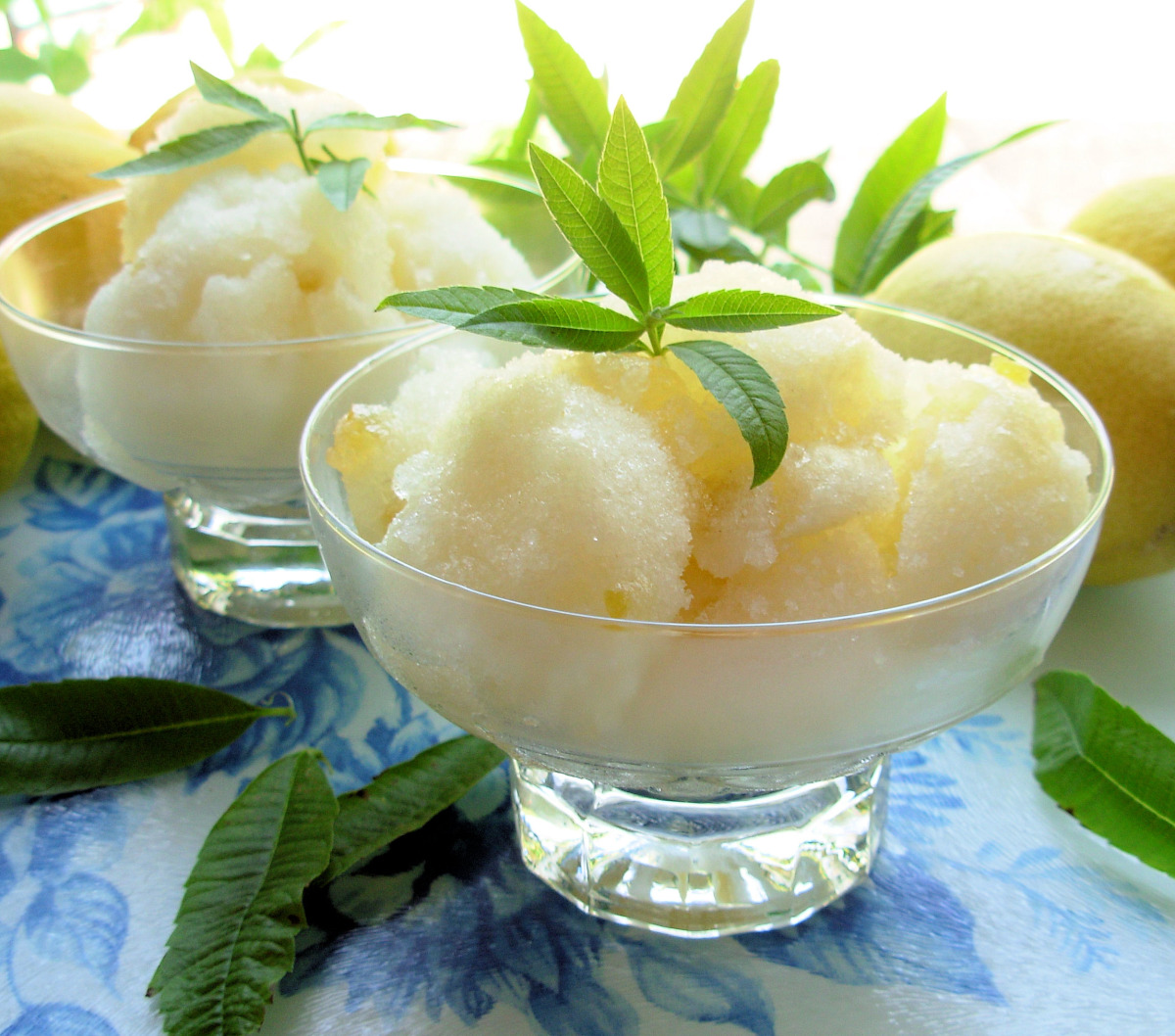 Kentucky Sour with Lemon Verbena Foam