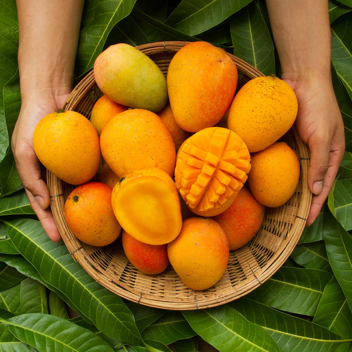 Mango-Teak Tropical Breeze