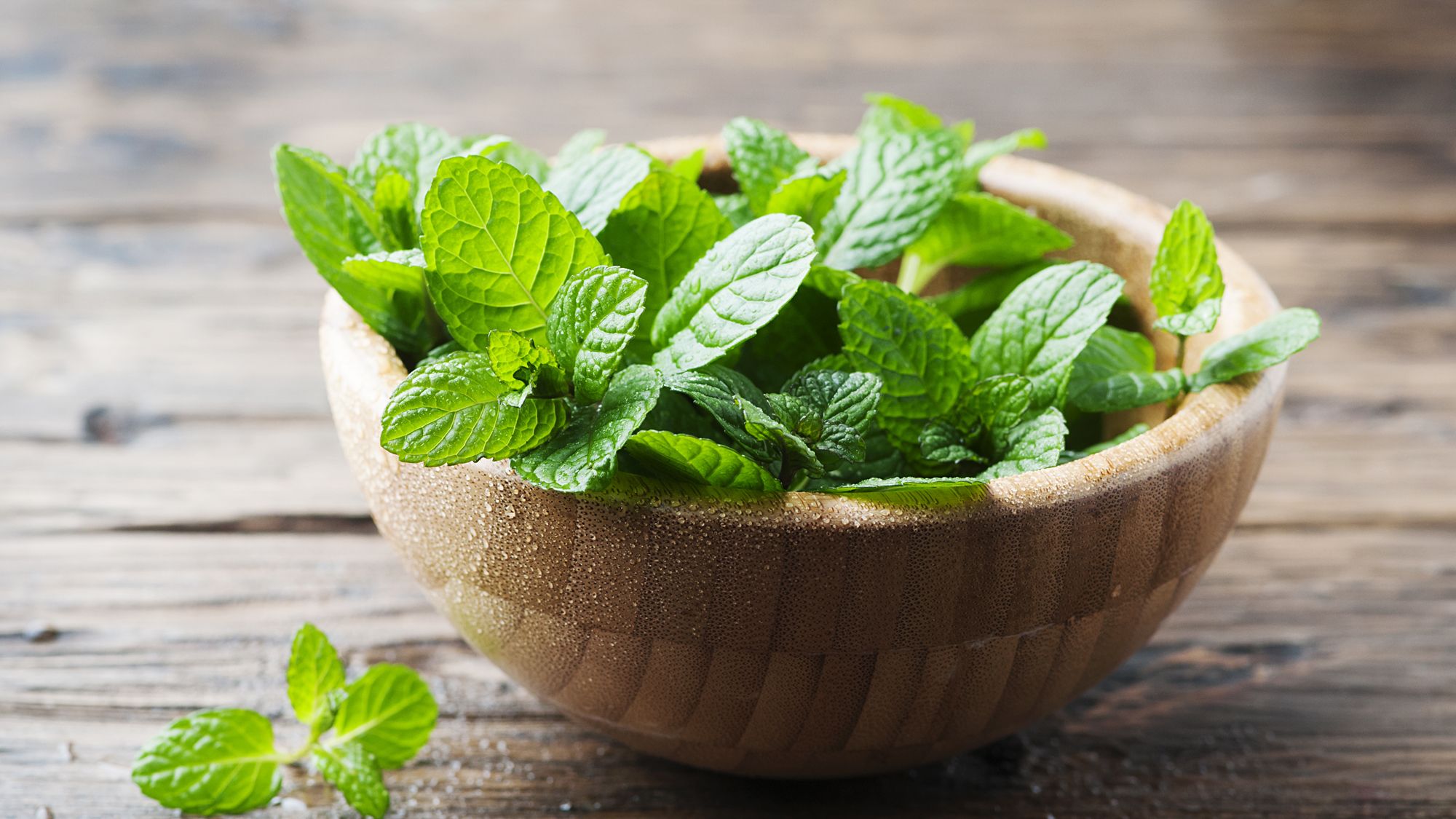 Mint-Pressed Tequila Cucumber Cooler